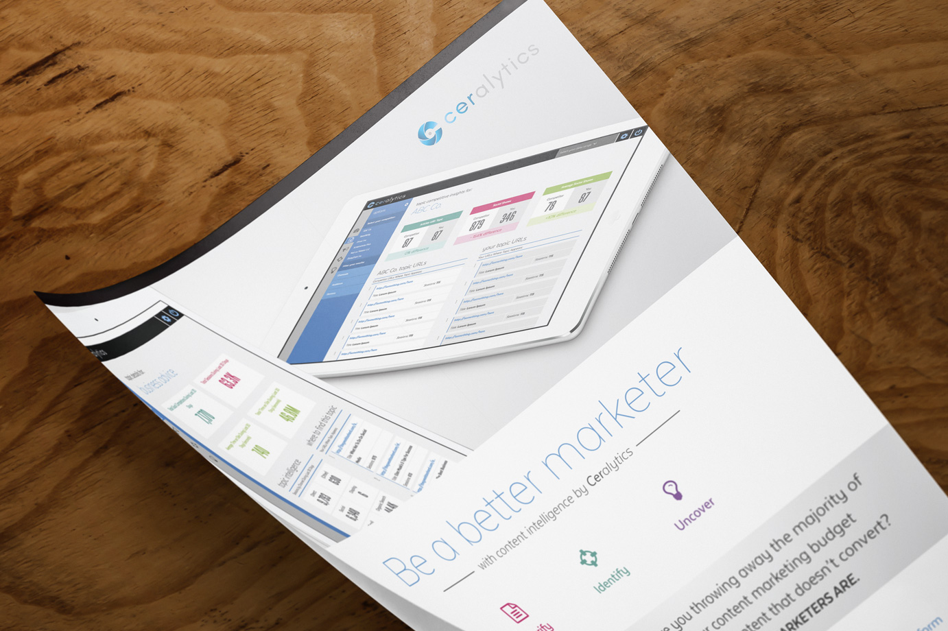 A photo of the Ceralytics tradeshow printed sellsheets.